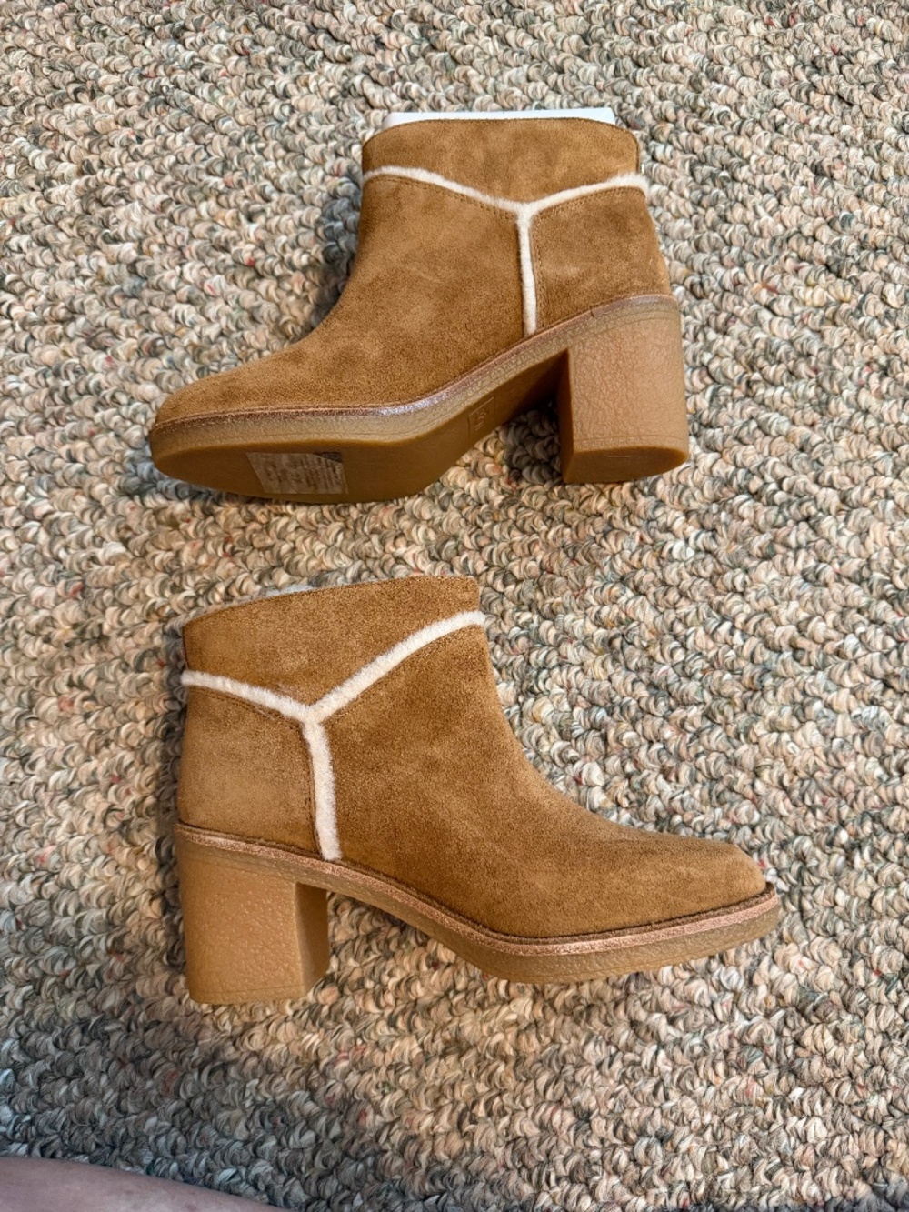 New In Box Kasian Shearling Ugg Size 7